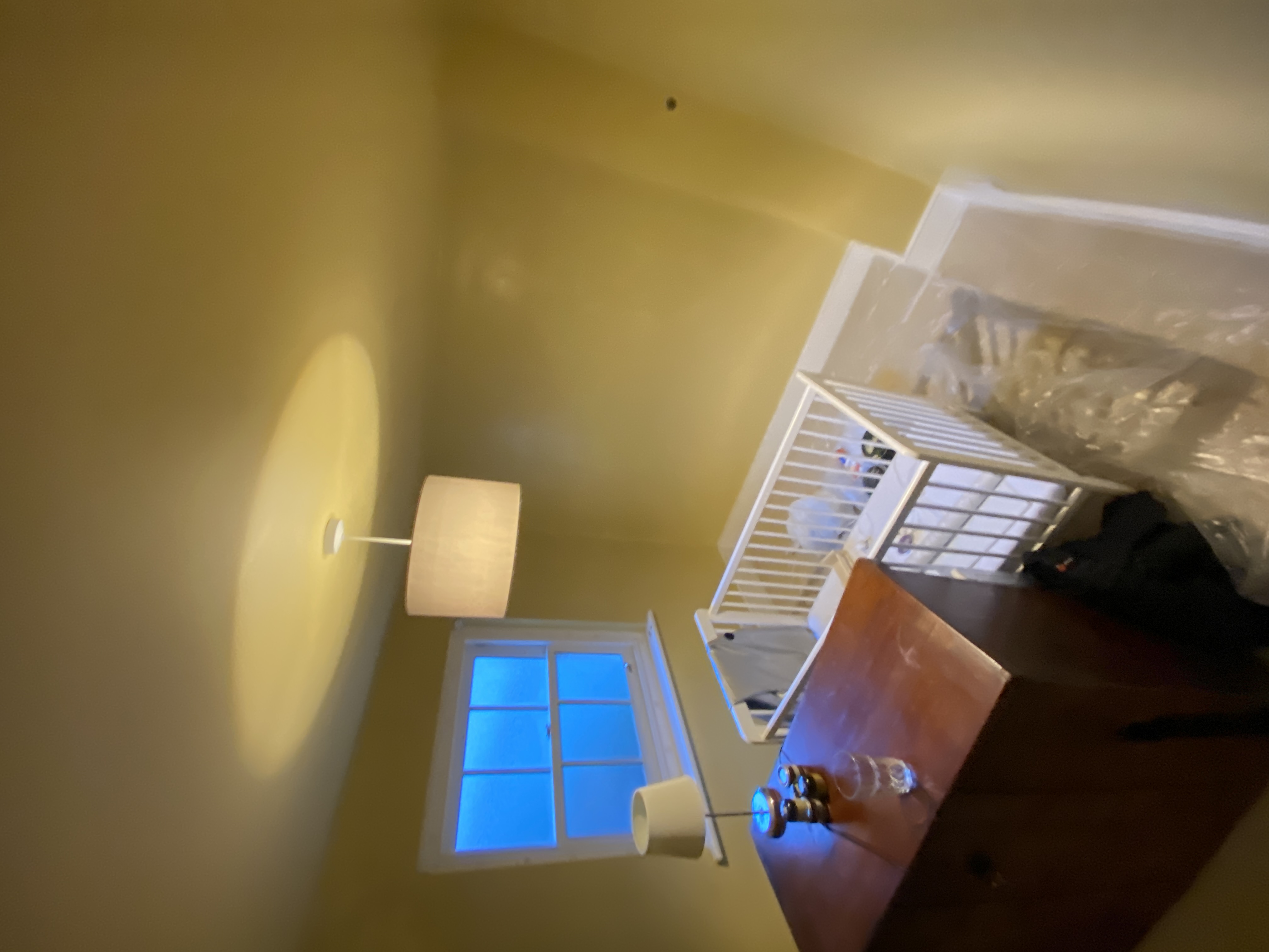Paint finish project London
